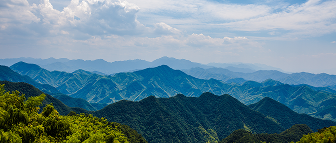 貴州吉雲生(shēng)态農業科技發展有限公司